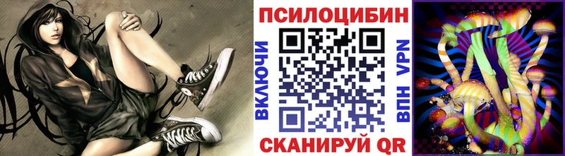 Купить где  Камышлов  Галлюциногенные грибы Magic Shrooms 